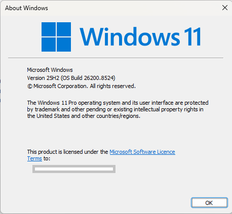 Windows 11 25H2 update
